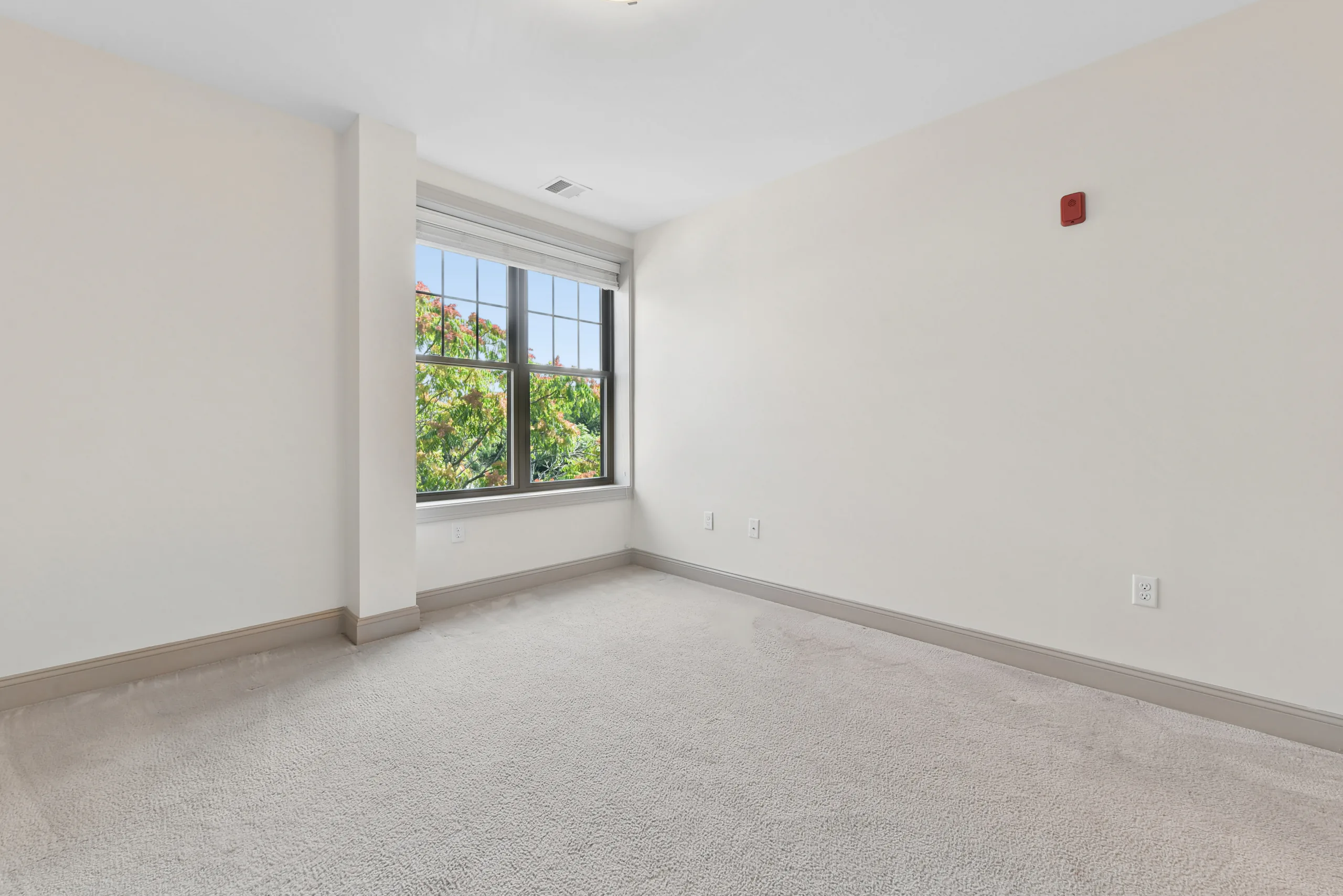 Carpeted bedroom with large window at 1580 River St #4D