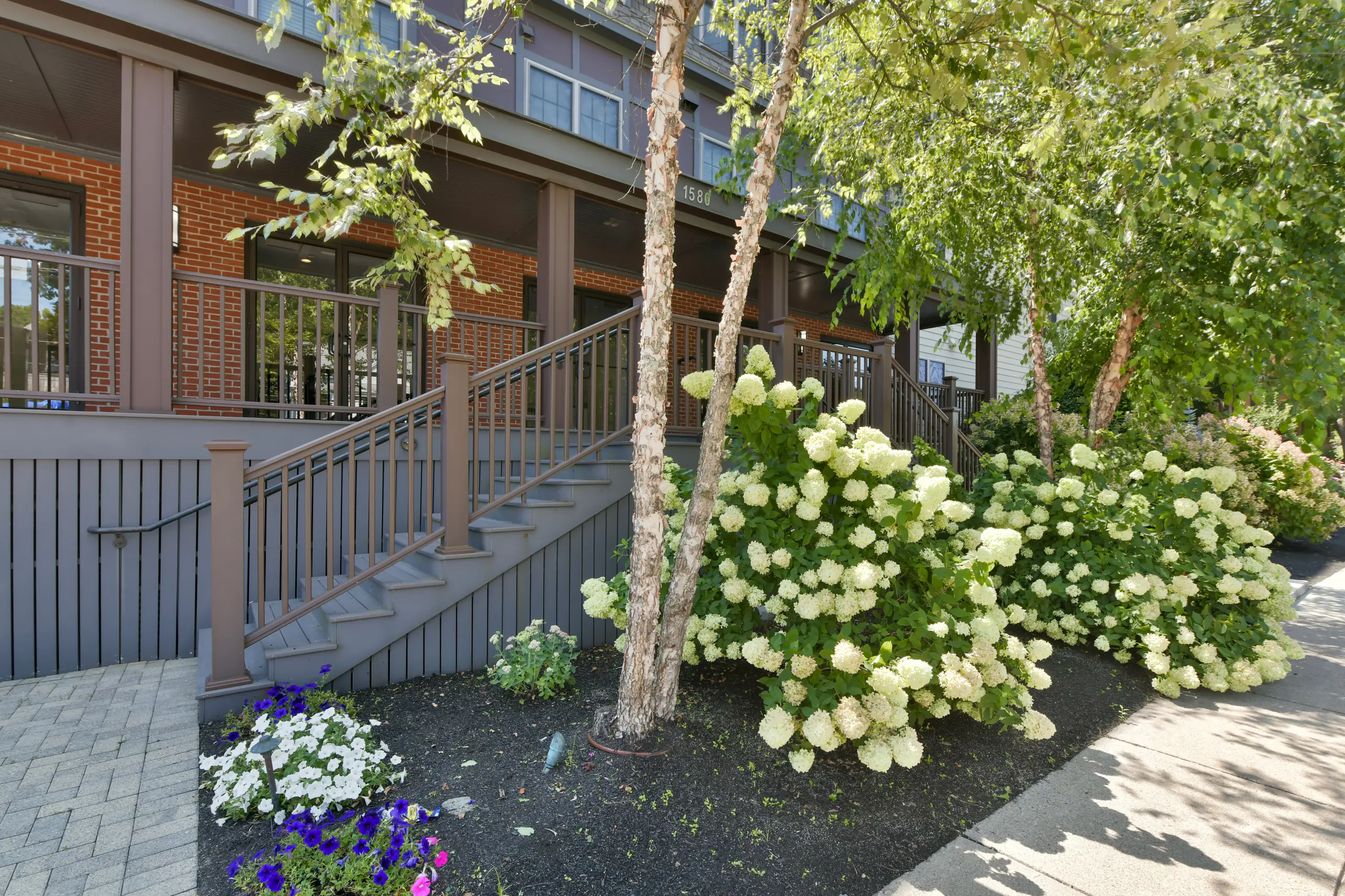 Landscaped entrance steps at Thread Hyde Park, 1580 River St